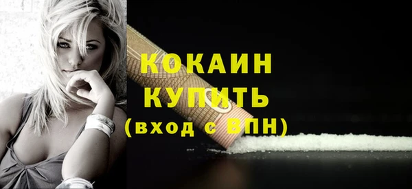 соль ск Арсеньев