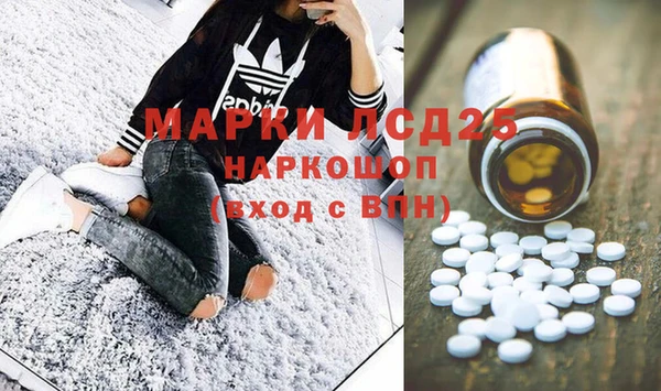 индика Армянск