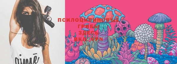 прущая мука Аркадак