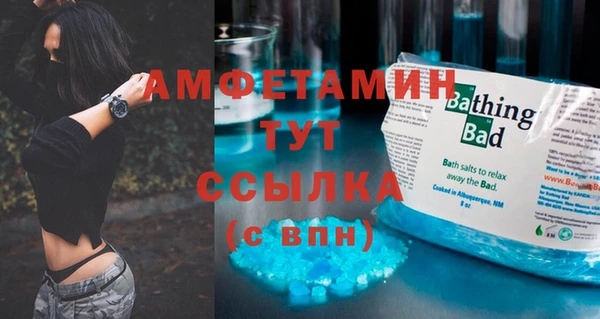 индика Армянск