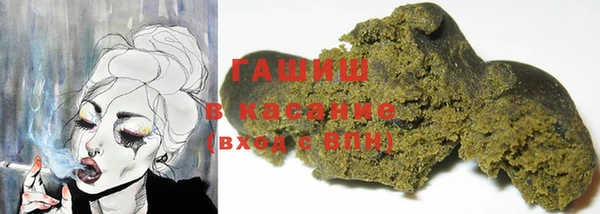 индика Армянск