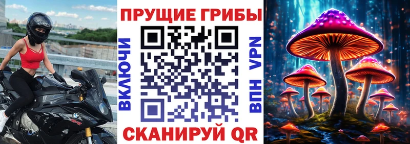 Псилоцибиновые грибы Psilocybe  Муравленко 